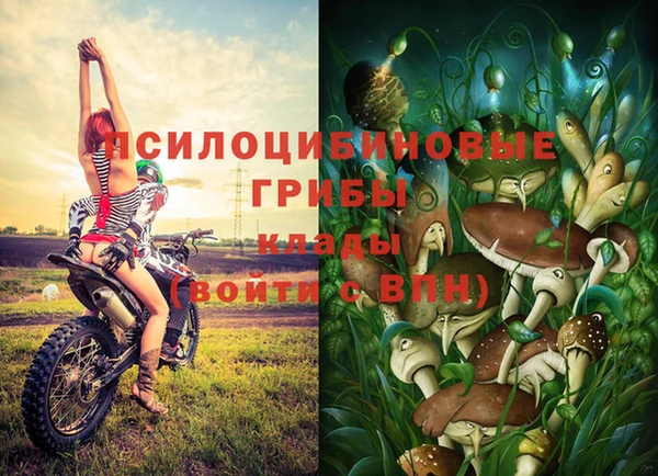 молекула духа Нягань