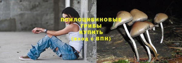 гашик Нязепетровск