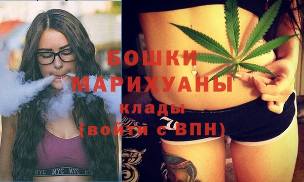 молекула духа Нягань